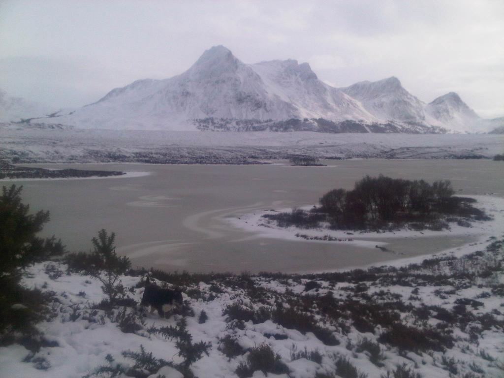 Ben Loyal Hotel Tongue Εξωτερικό φωτογραφία